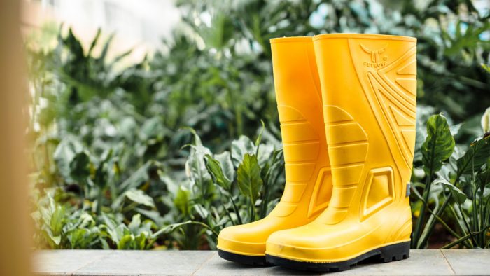 PETROVA PHENOM BOOTS