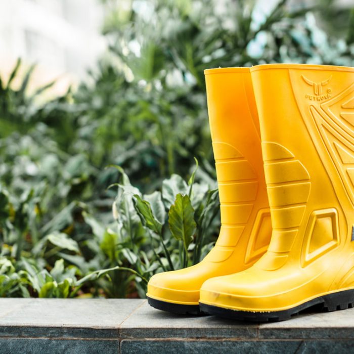 PETROVA PHENOM BOOTS