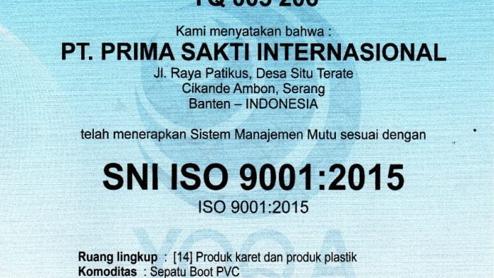 sni iso