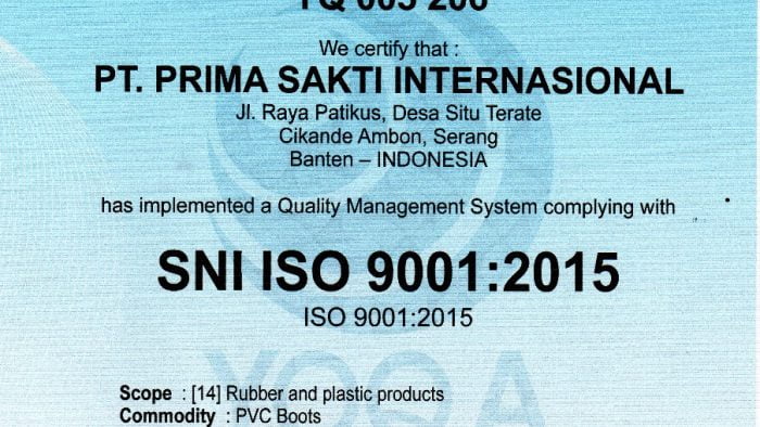 sni iso